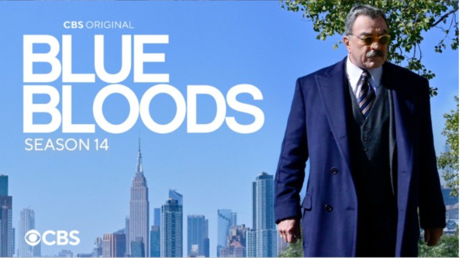 Season 14 is the last season of the beloved show Blue Blood | Image Source: CBS