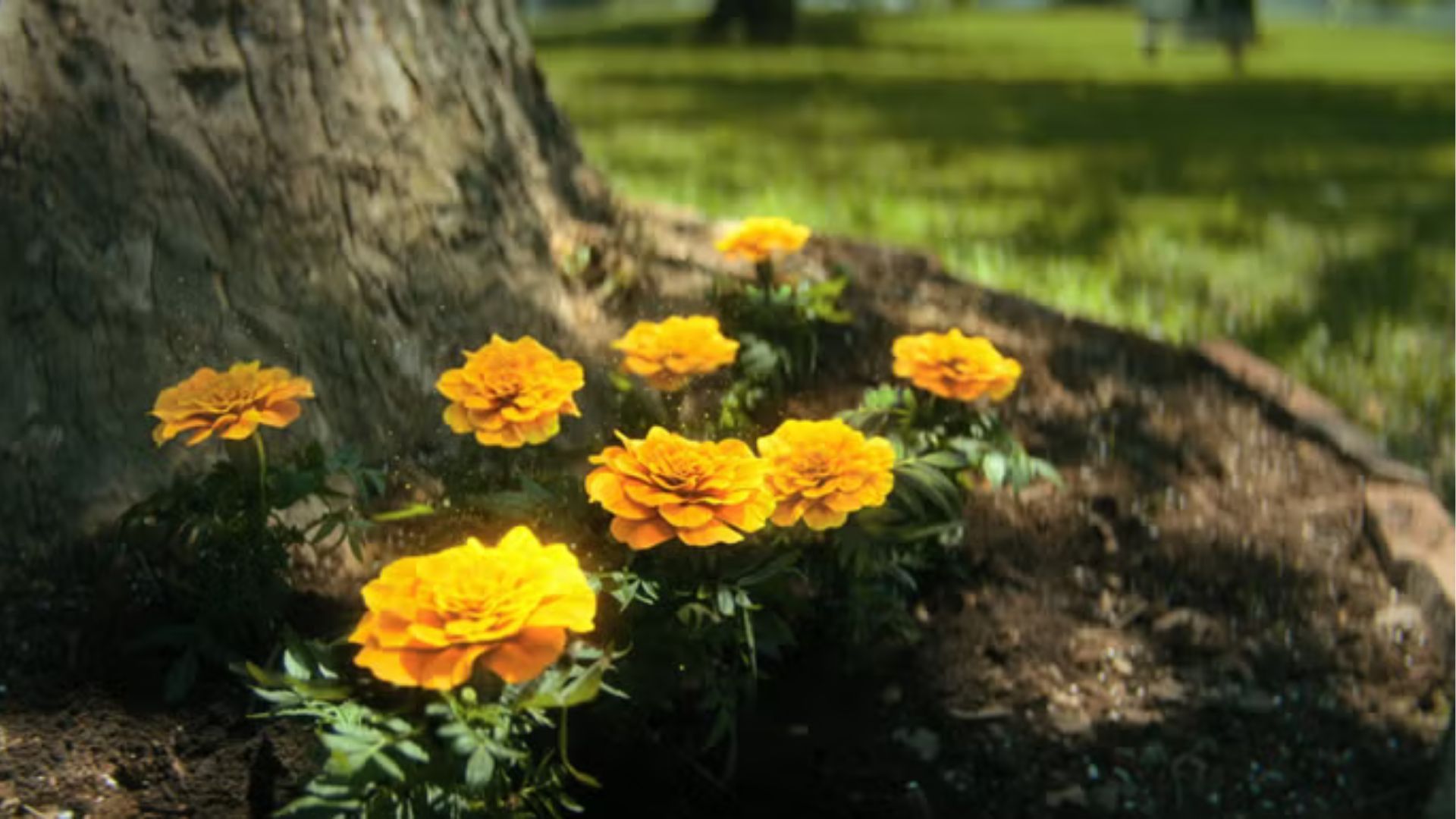 Flowers shown in Umbrella Academy credits (Image Source: Netflix)