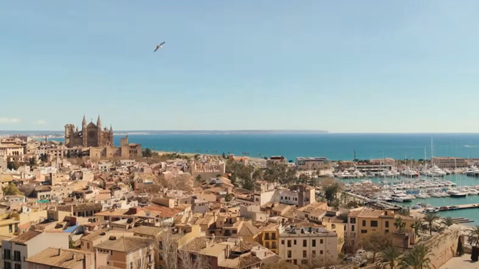 Palma City (Image via Amazon Prime Video)