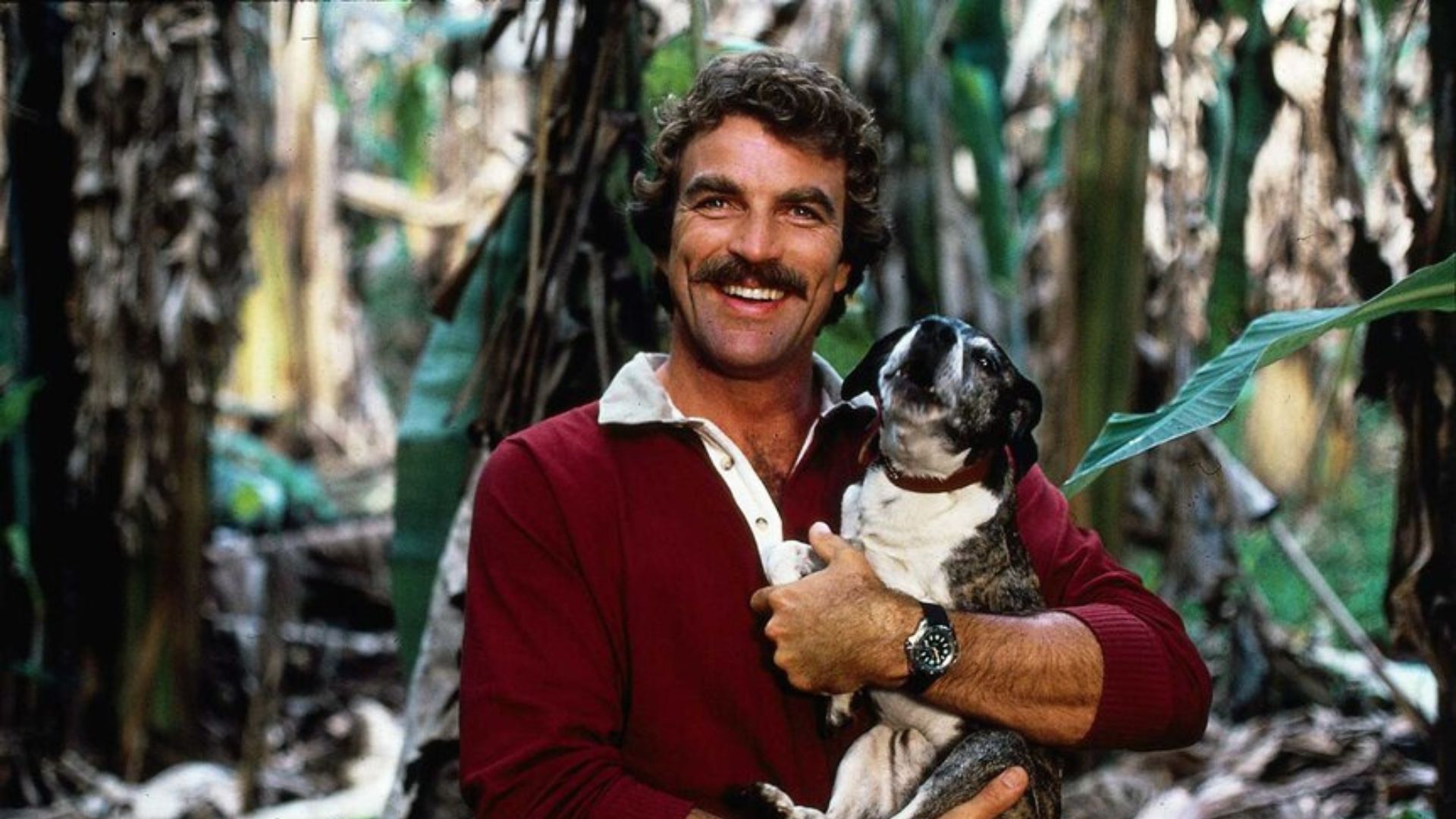 Magnum, P.I. theme song even ranked at Billboard charts (Image: CBS)