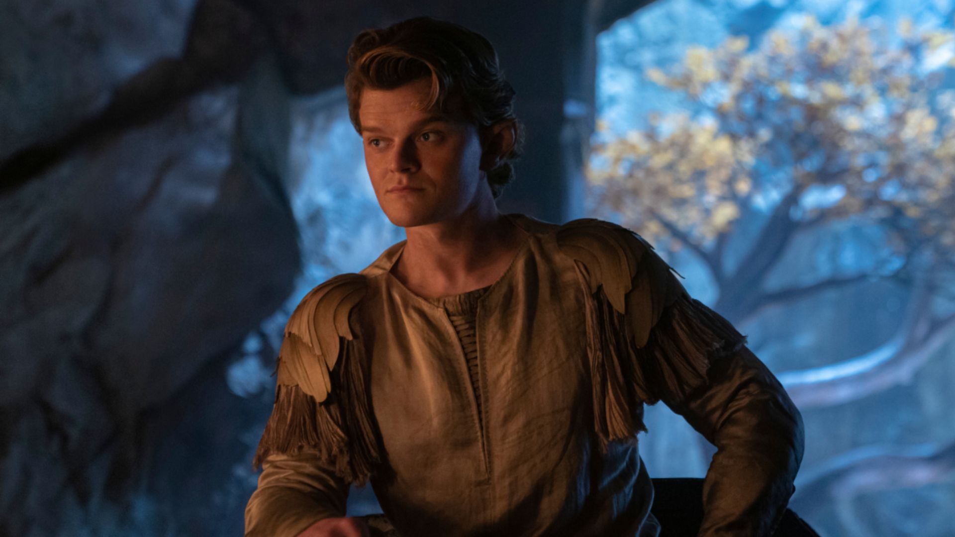 Robert Aramayo as Elrond in Lord of the Rings: The Rings of Power: Image Source: Prime Video