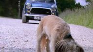 Tom's car behind Piper on the road on Emmerdale | Image Source: Channel 4