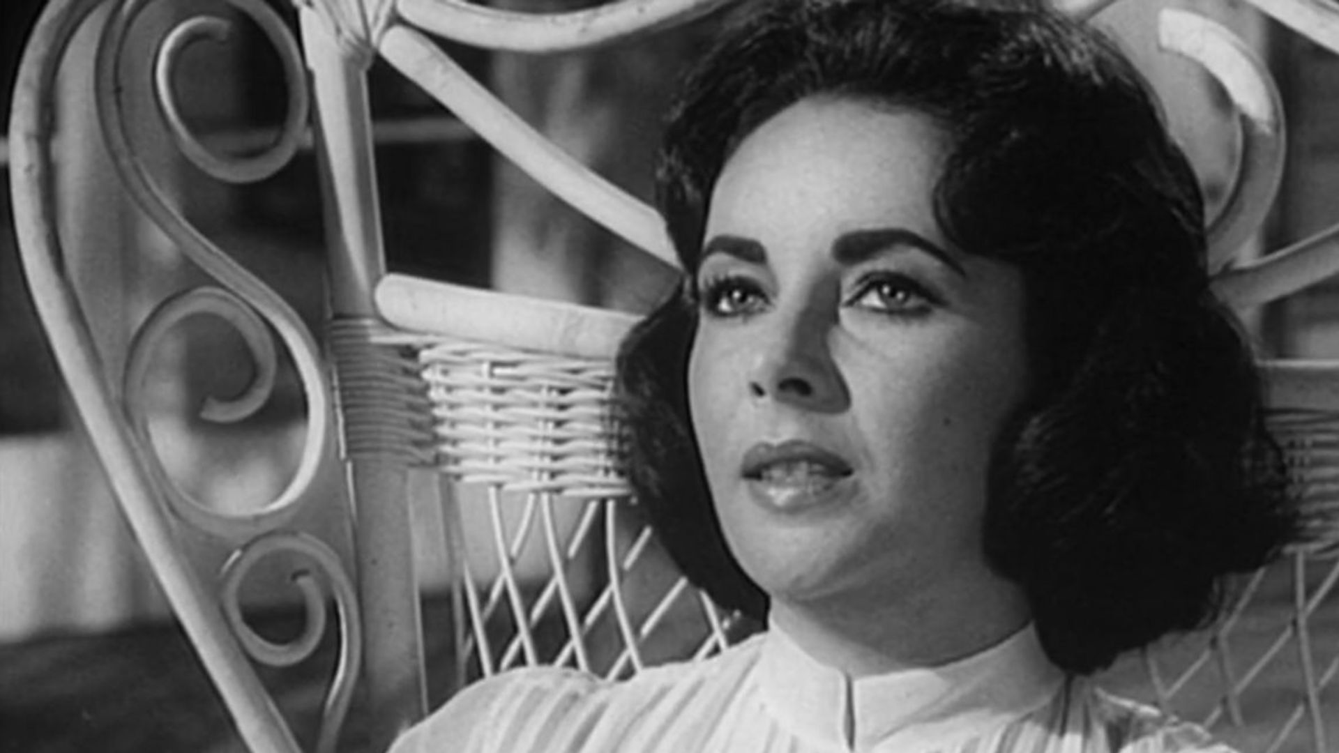 Enter captioSuddenly, Last Summer is a mystery southern gothic film | Image Source: Horizon Pictures, Academy Pictures Corporation, Camp Filmsn