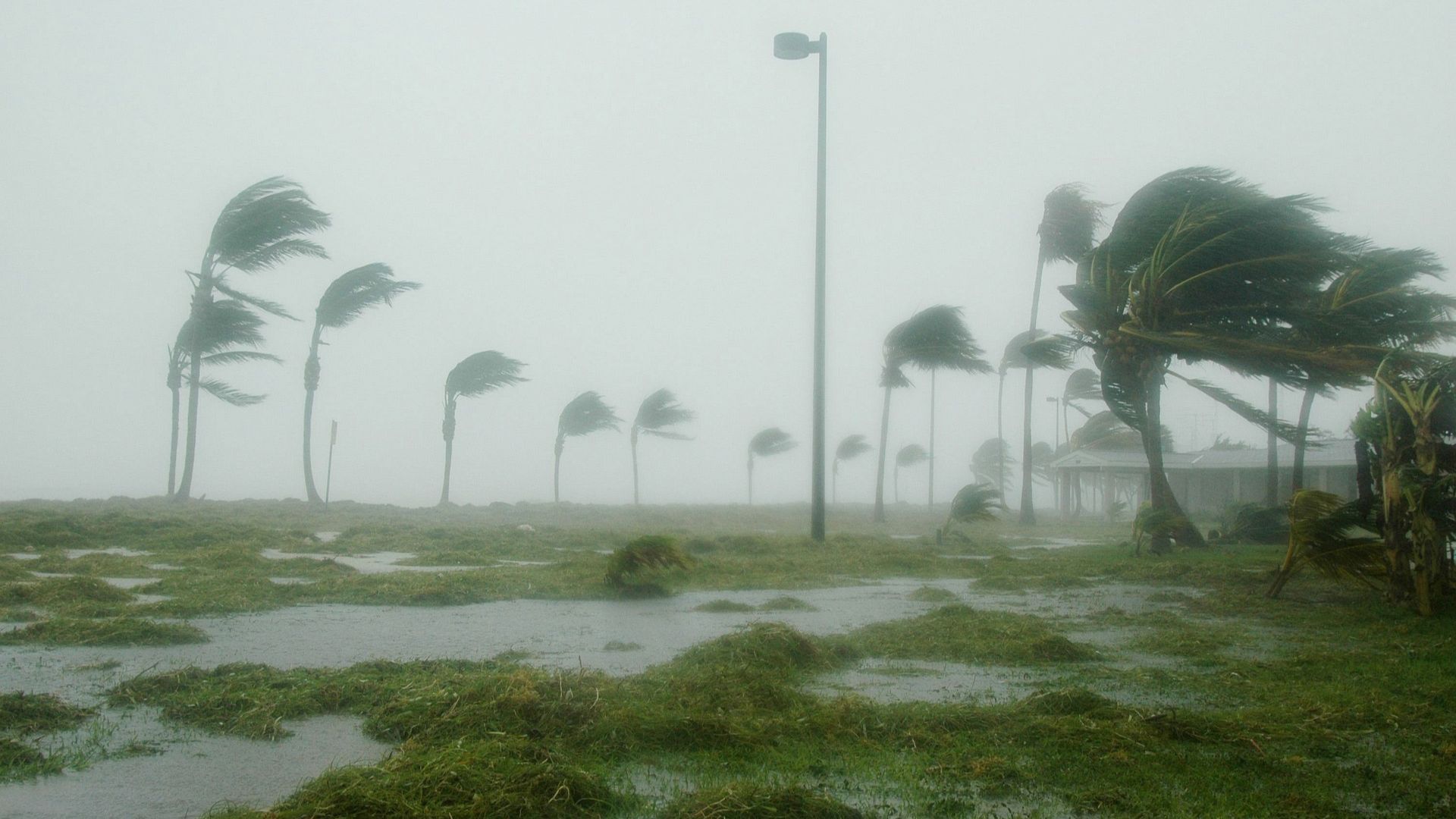 Can Milton become a &quot;Category 6&quot; hurricane? (Representative image via Pixabay/@pixabay.com)