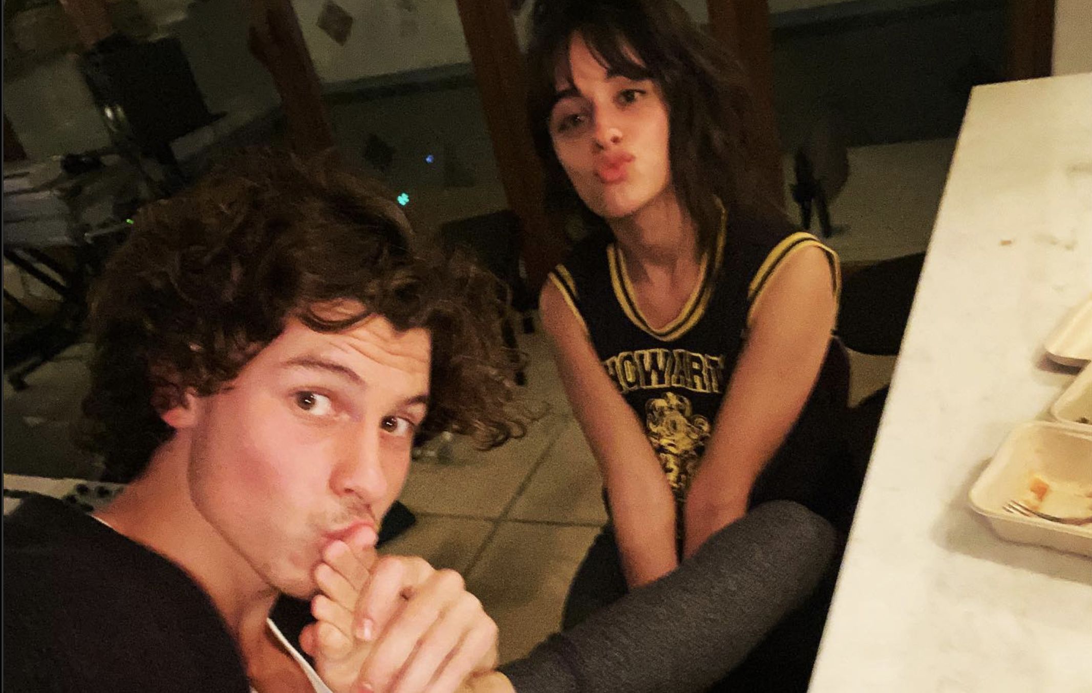 Shawn Mendes and Camila Cabello in February 2021 (Image via Instagram/@Shawnmendes)