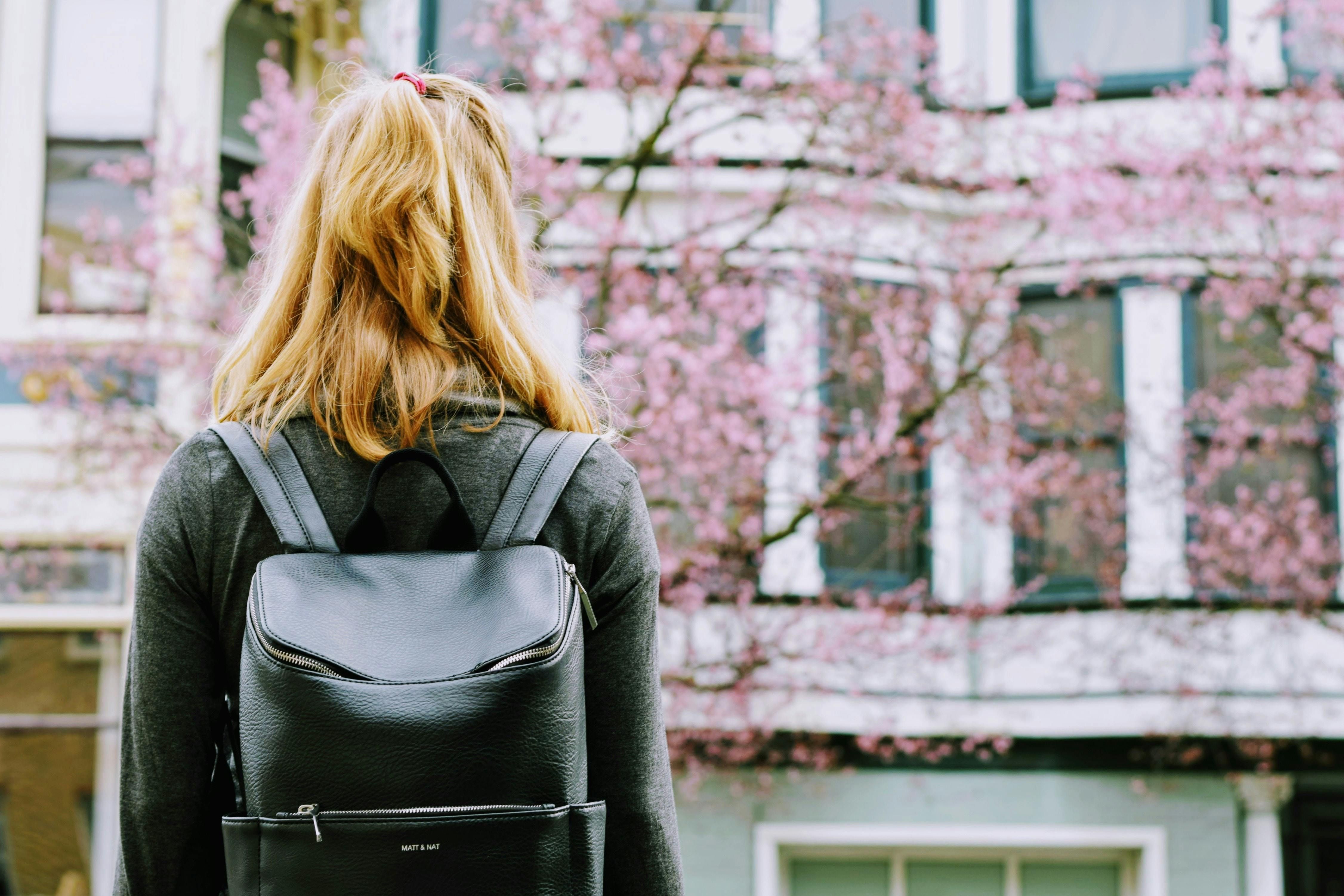 What is the best way to keep leather bags clean? (Image via Pexels/ Punttim)