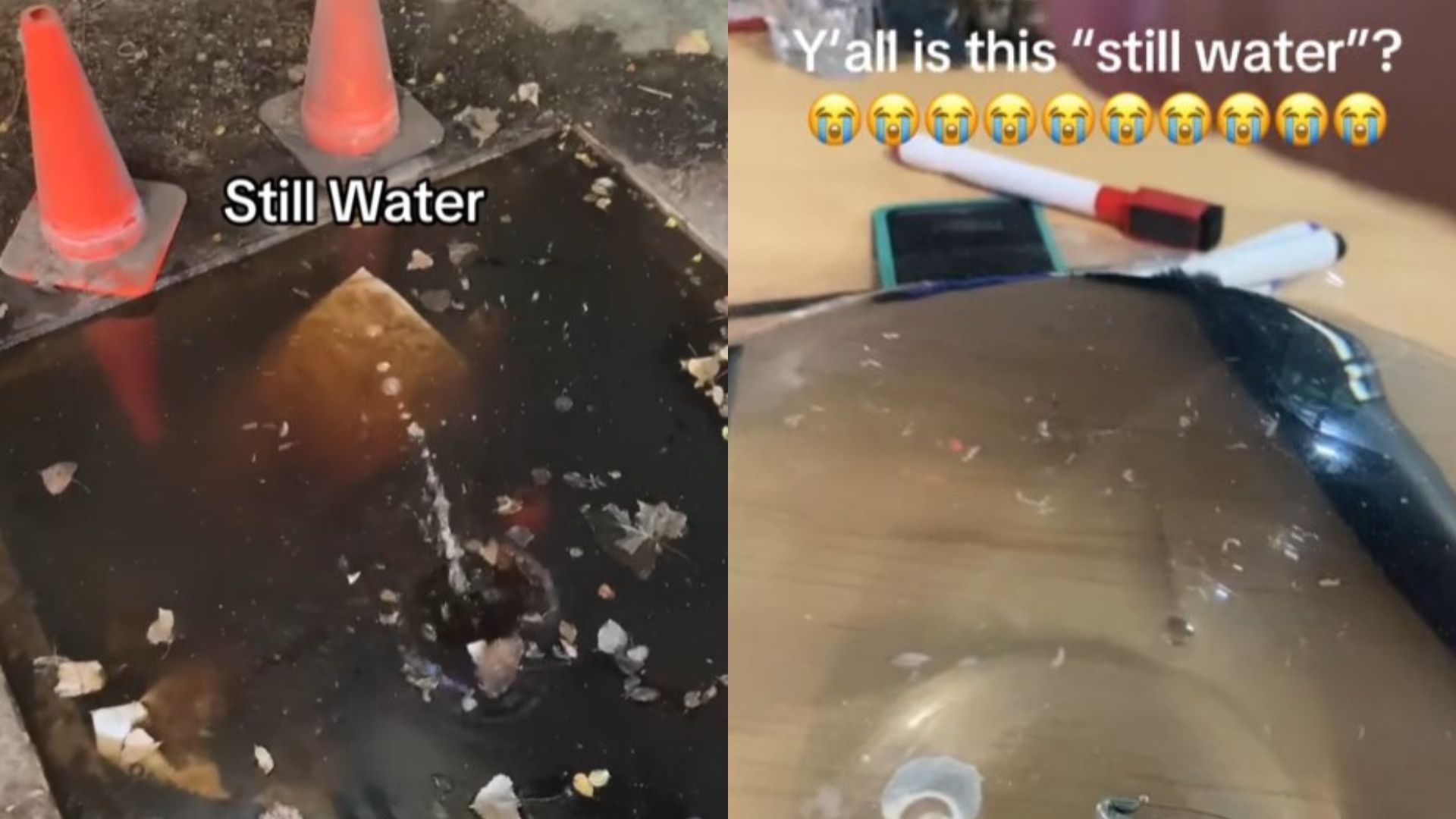 Screenshot of &quot;Still Water&quot; meme via TikTok