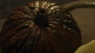 The Killer Pumpkin from Carved | Image source: Hulu on YouTube