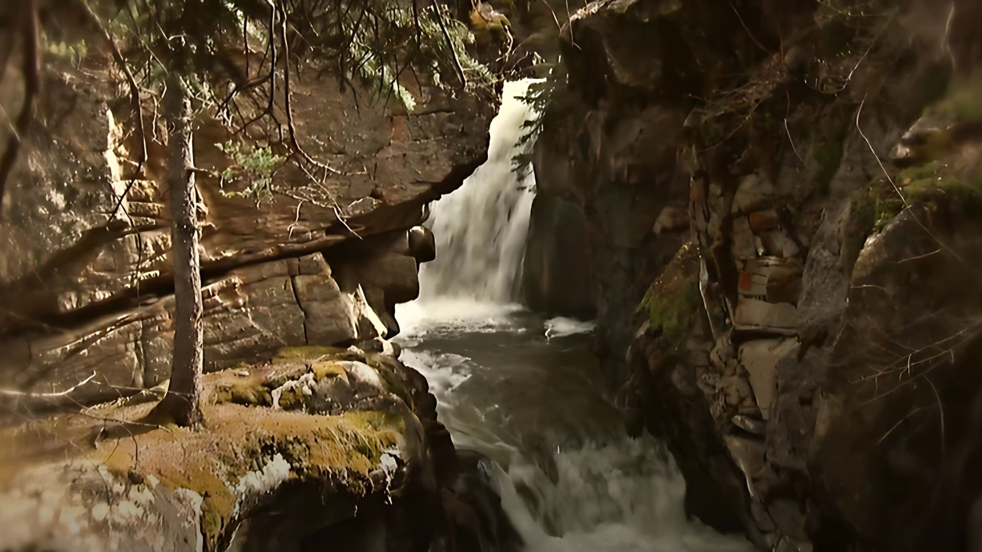 The spot in Cottonwood Creek where Leslie Mueller was found dead | Image source: NBC News