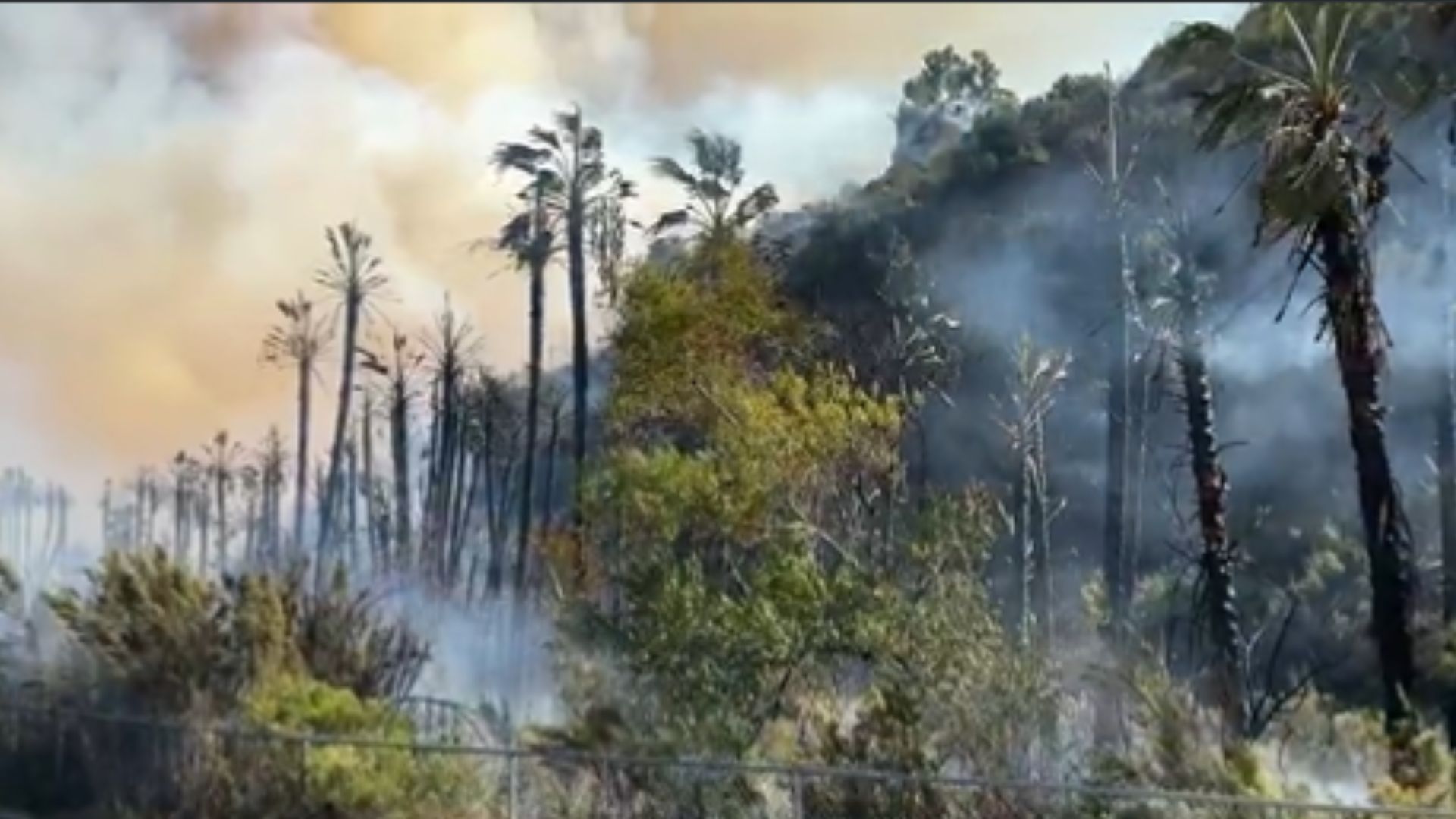 San Diego fire (Image via Twitter/@SDFD)