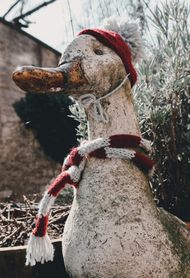 Photo credits: sourced from @leakatharinafr/Unsplash