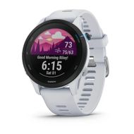 Save $100 on Forerunner 255 Music (Image via Garmin)