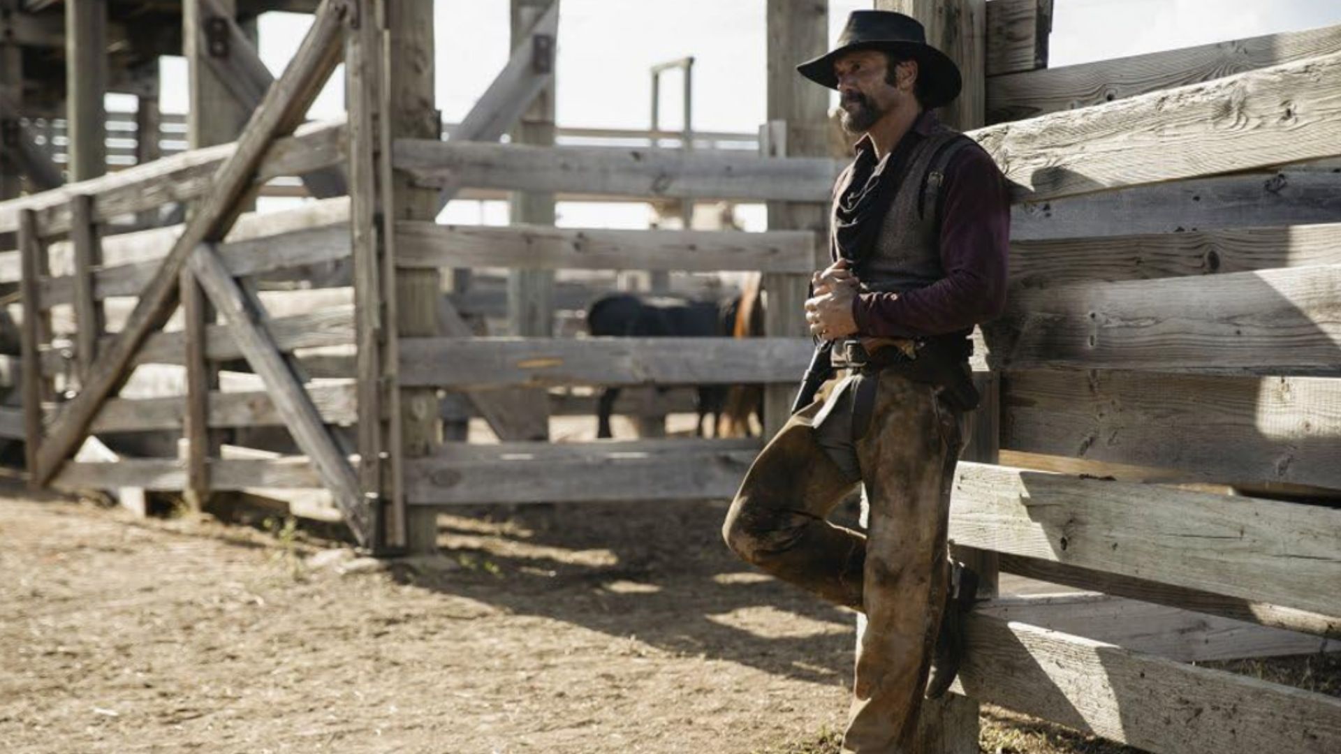 Tim McGraw in 1883 (Image via Prime Video, Paramount+)