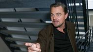 Leonardo DiCaprio attends the