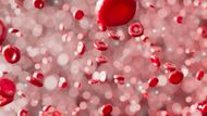 Representational image of red blood cells (Image via Unsplash/ ANIRUDH)