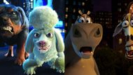 Madagascar vs. The Wild (Image via DreamWorks Animation and Walt Disney Pictures)