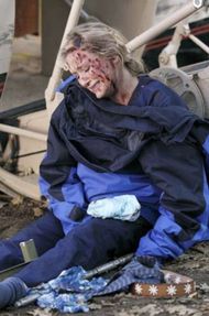 Who is Arizona Robbins in Grey's Anatomy?