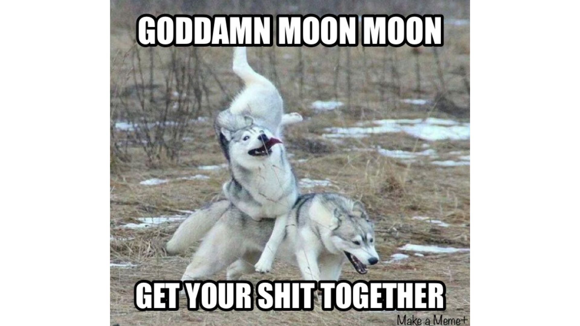 Popular Moon Moon memes (Image via roosamanson/Memedroid)