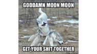 Popular Moon Moon memes (Image via roosamanson/Memedroid)