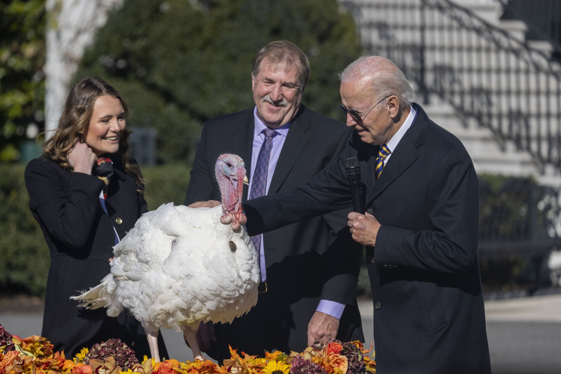 US president pardons 2 turkeys in Thanksgiving tradition - Source: Getty