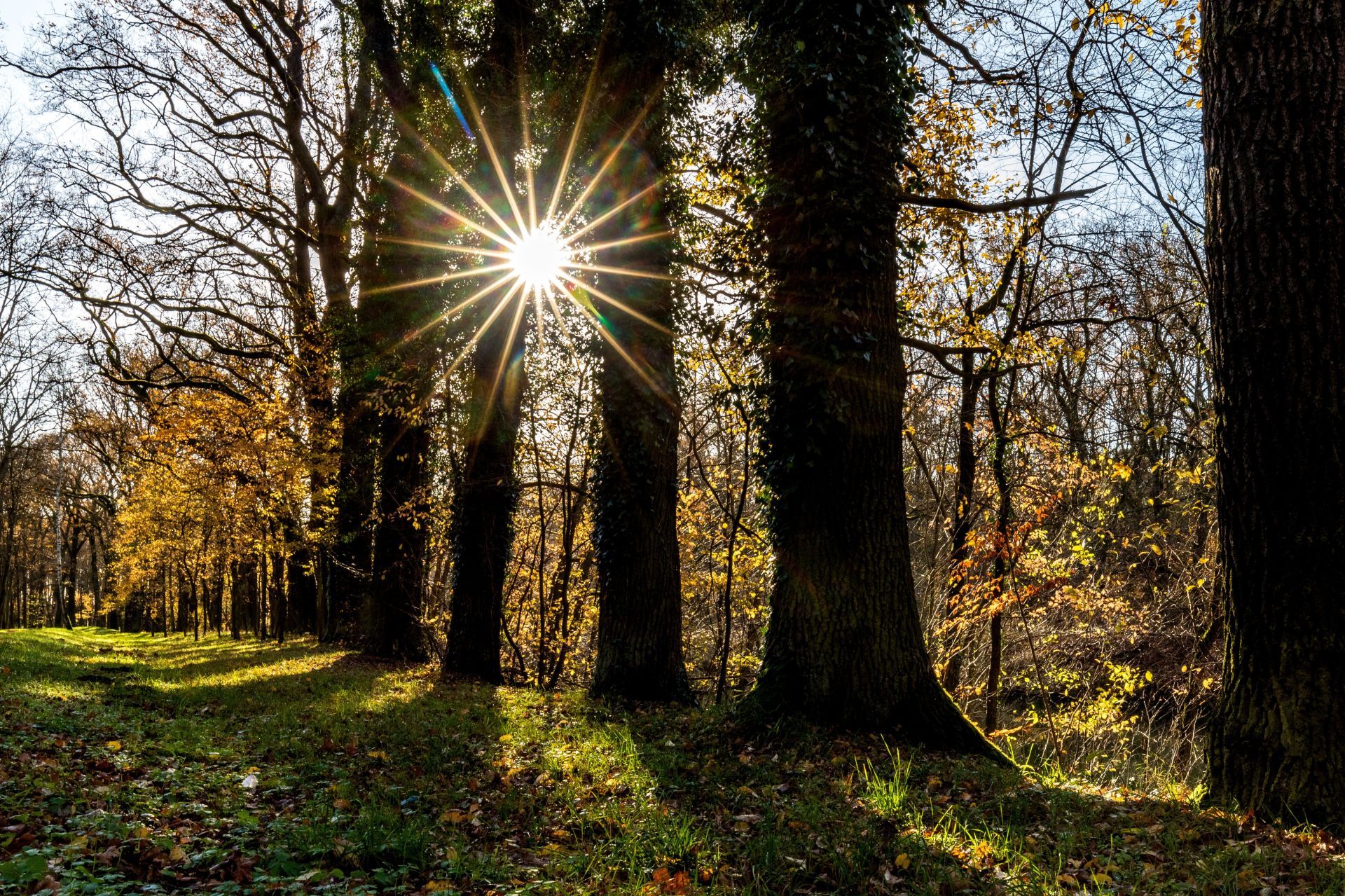 Weather in South Brandenburg - Source: Getty