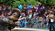 Denver Zoo event (Image via Denver Zoo)