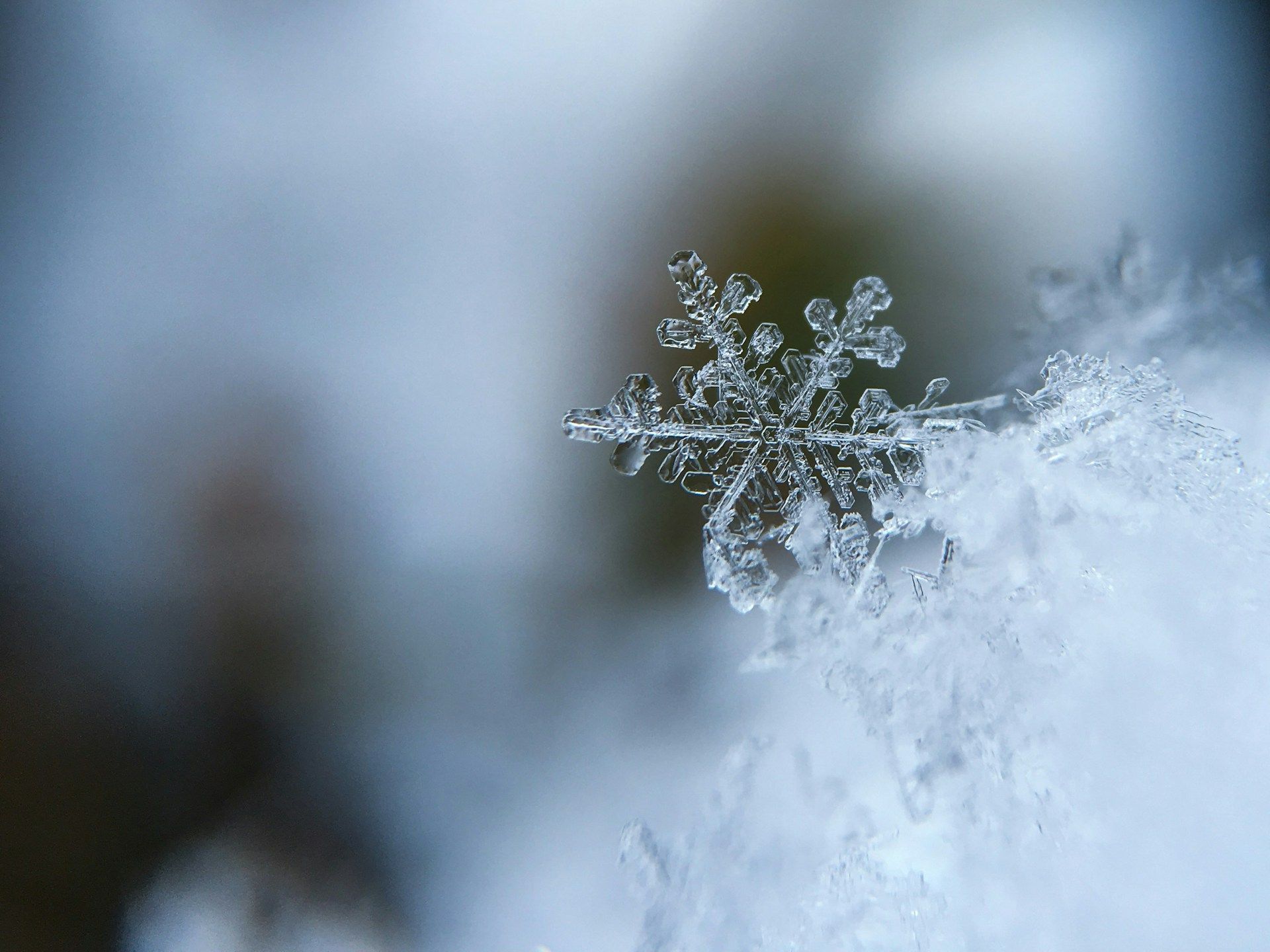 Representational Image of Snow: Photo by Aaron Burden on Unsplash