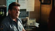 Lou Ferrigno in The Incredible Hulk (2008) | Source: Universal Pictures