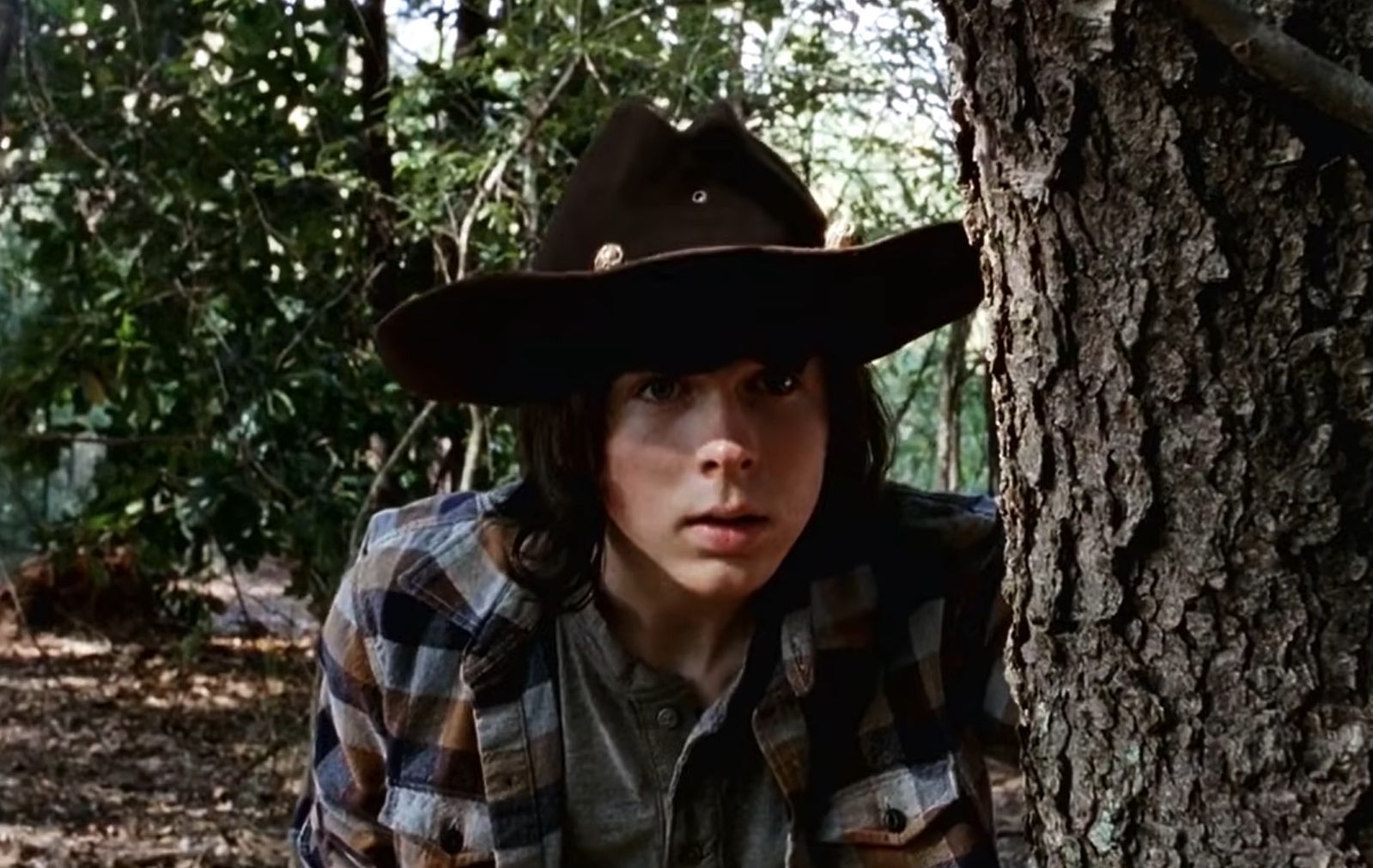 Carl Grimes