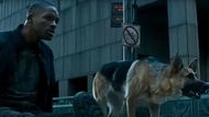 A scene from I am Legend | Image Via: Village Roadshow Pictures