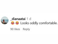 "Looks oddly comfortable" @xyz user commented under Serena's post (Image via @serenawilliams / Instagram)
