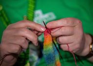 Federal Delegates' Conference of the Greens - Source: Getty