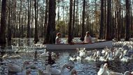 The Notebook, Image Source - New Line Cinema