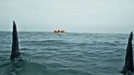 A scene from Great White | Image Via: Thrills & Spills