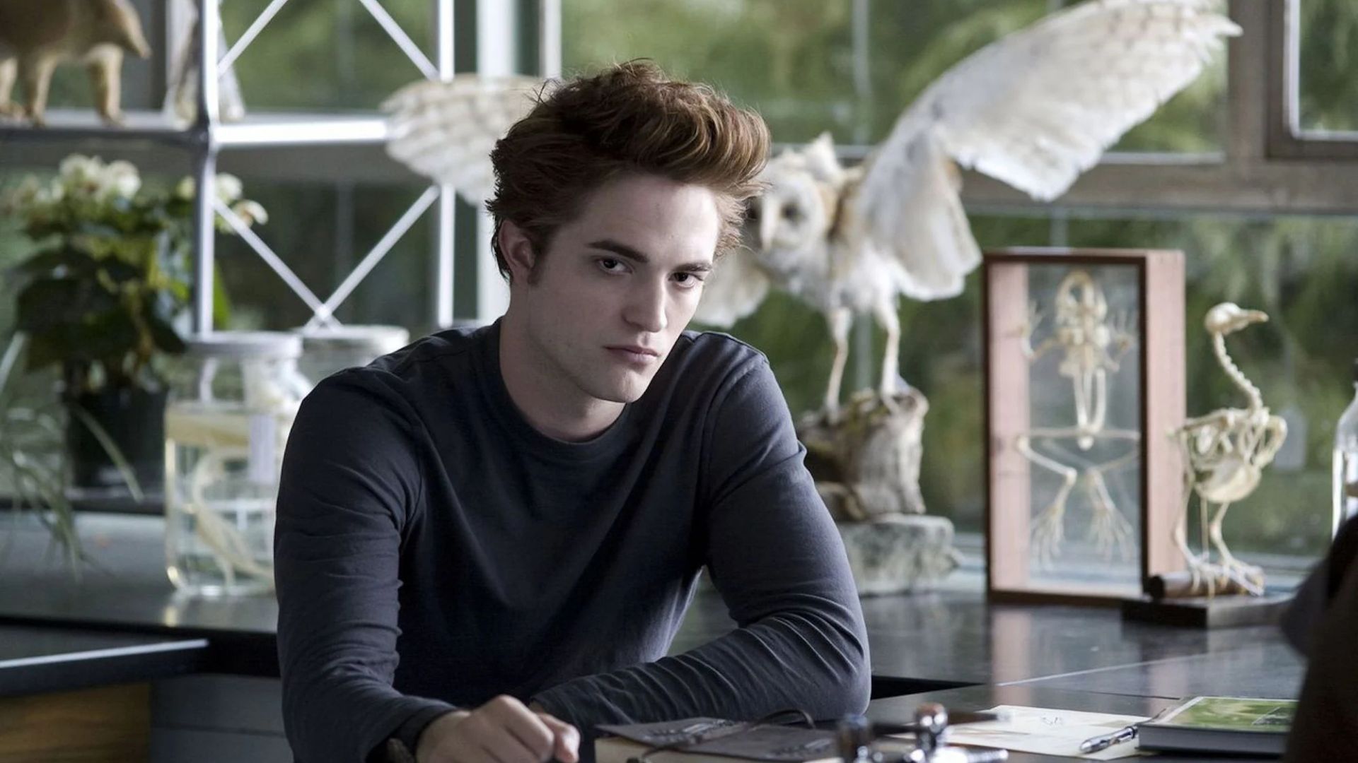 Edward Cullen in the Twilight series | Image via Summit Entertainment