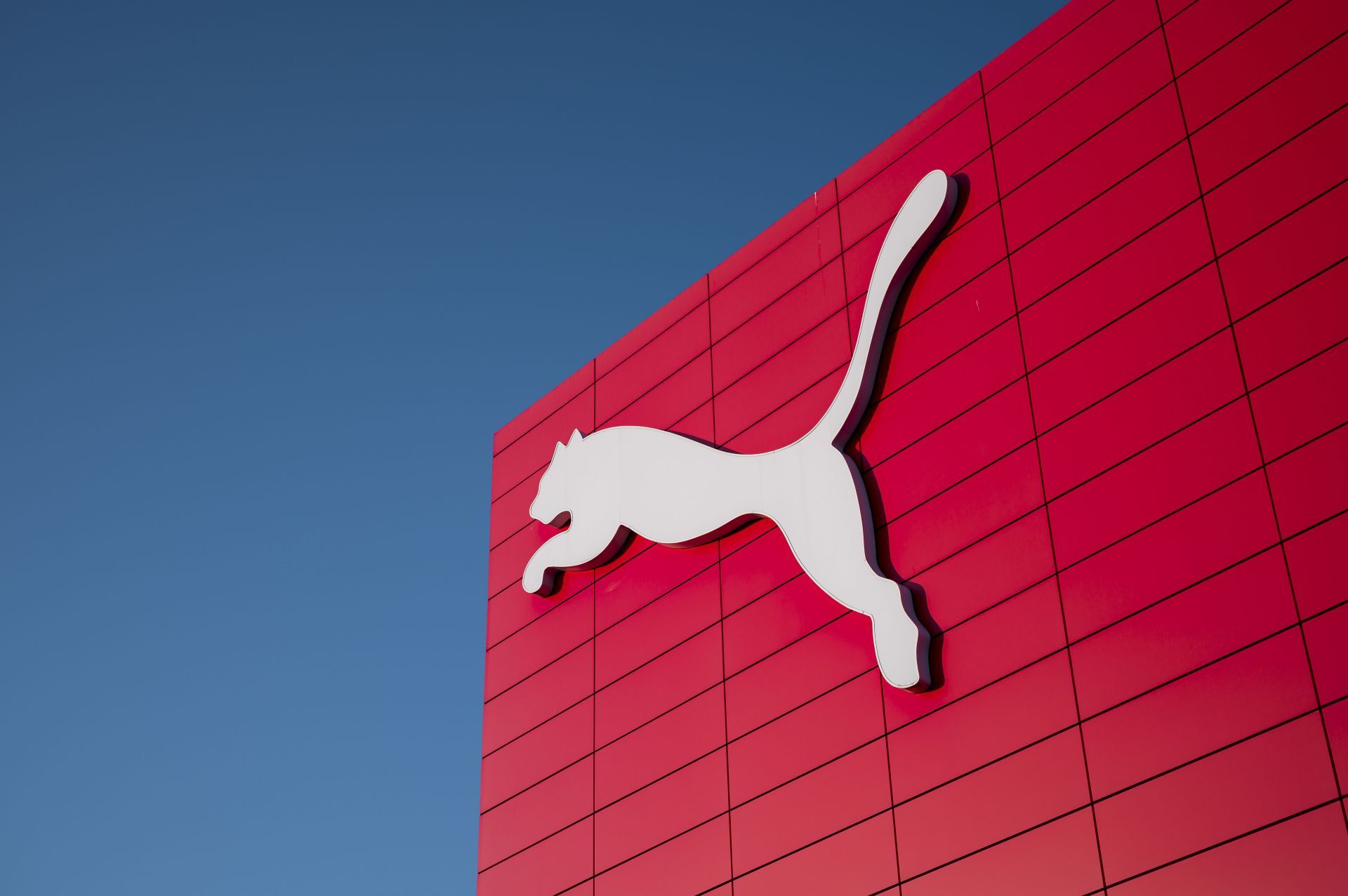 Puma overtakes local rival Adidas in terms of profit - Source: Getty