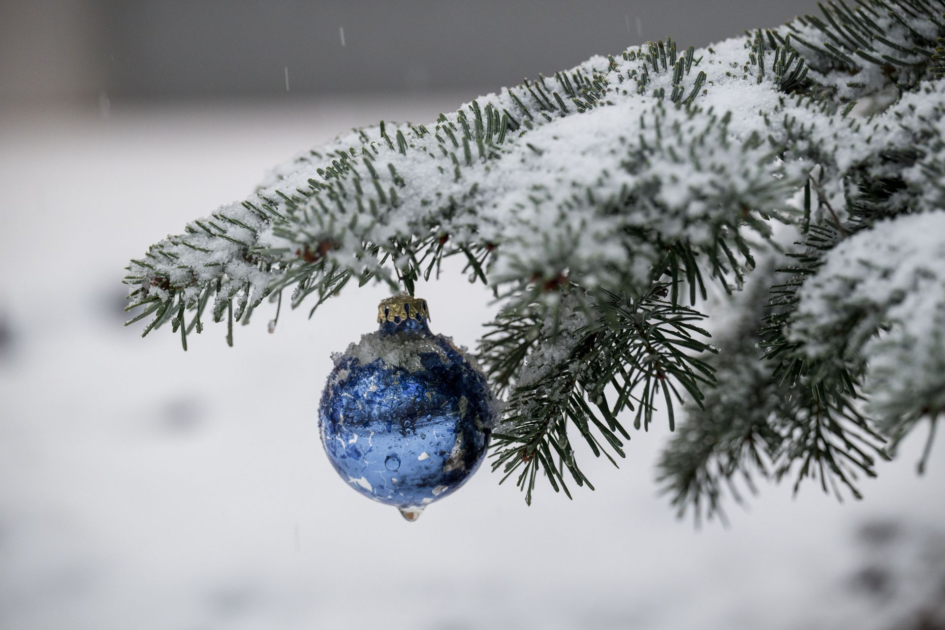 Snow in Bavaria - Weather - Source: Getty