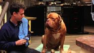 Turner & Hooch (1989) | Image Source: Buena Vista Pictures
