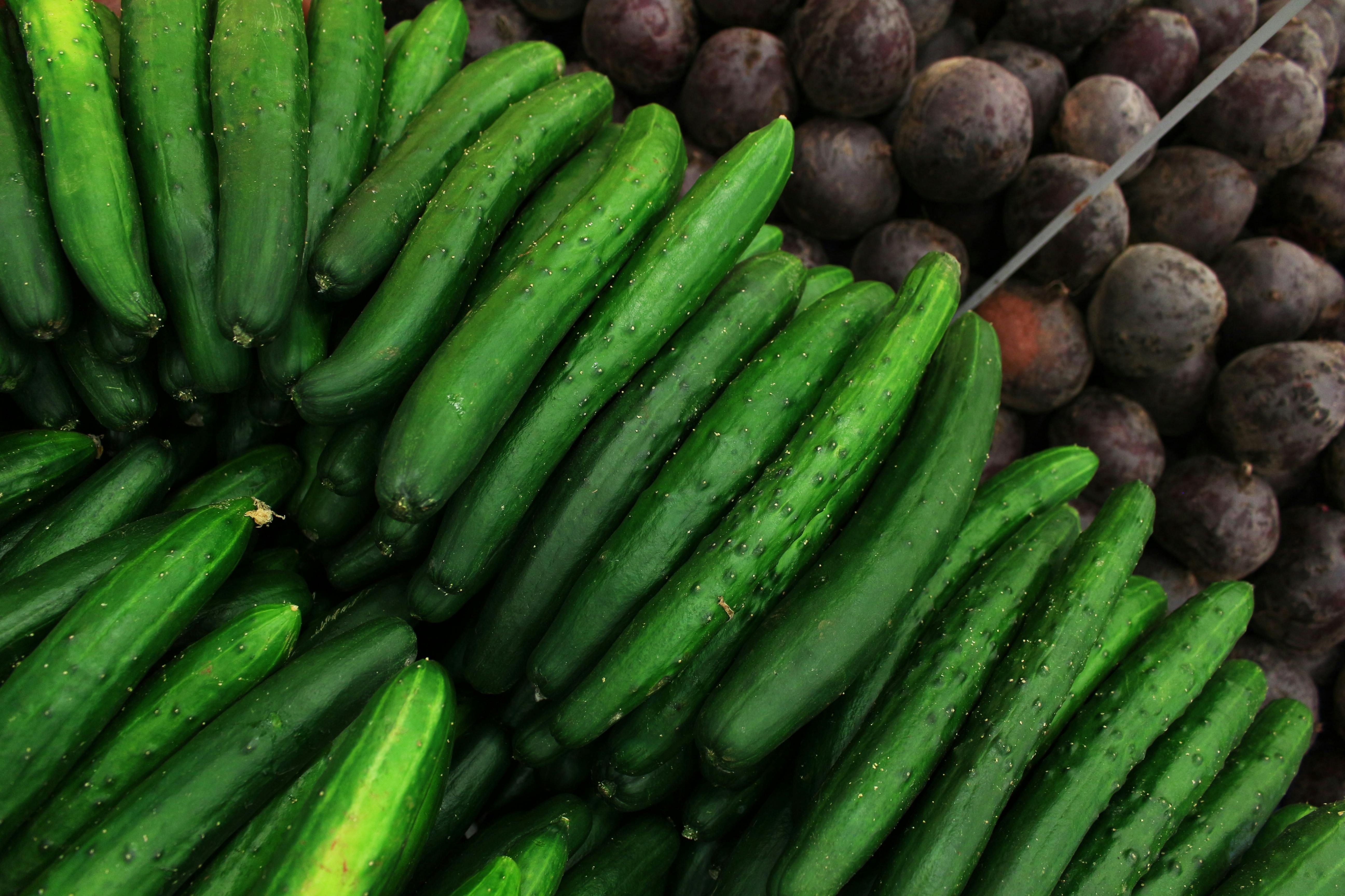 Fresh cucumbers (Image via Pexels)