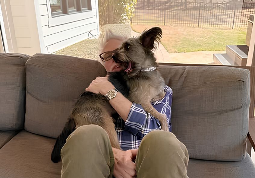 Gunn&#039;s dog, Ozu | Source: James Gunn&#039;s official Instagram account