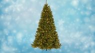 North Valley Spruce Tree with Clear Lights (Image via Wayfair)