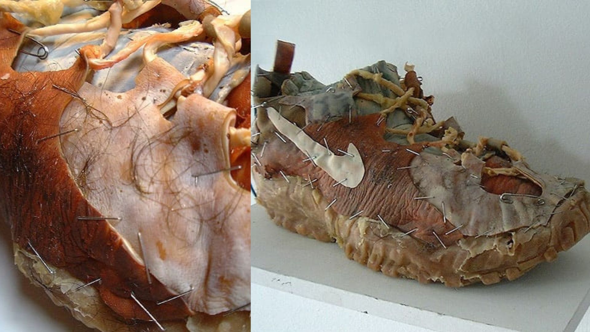 Animatronic Flesh Shoe (Image via Virtualshoemuseum)