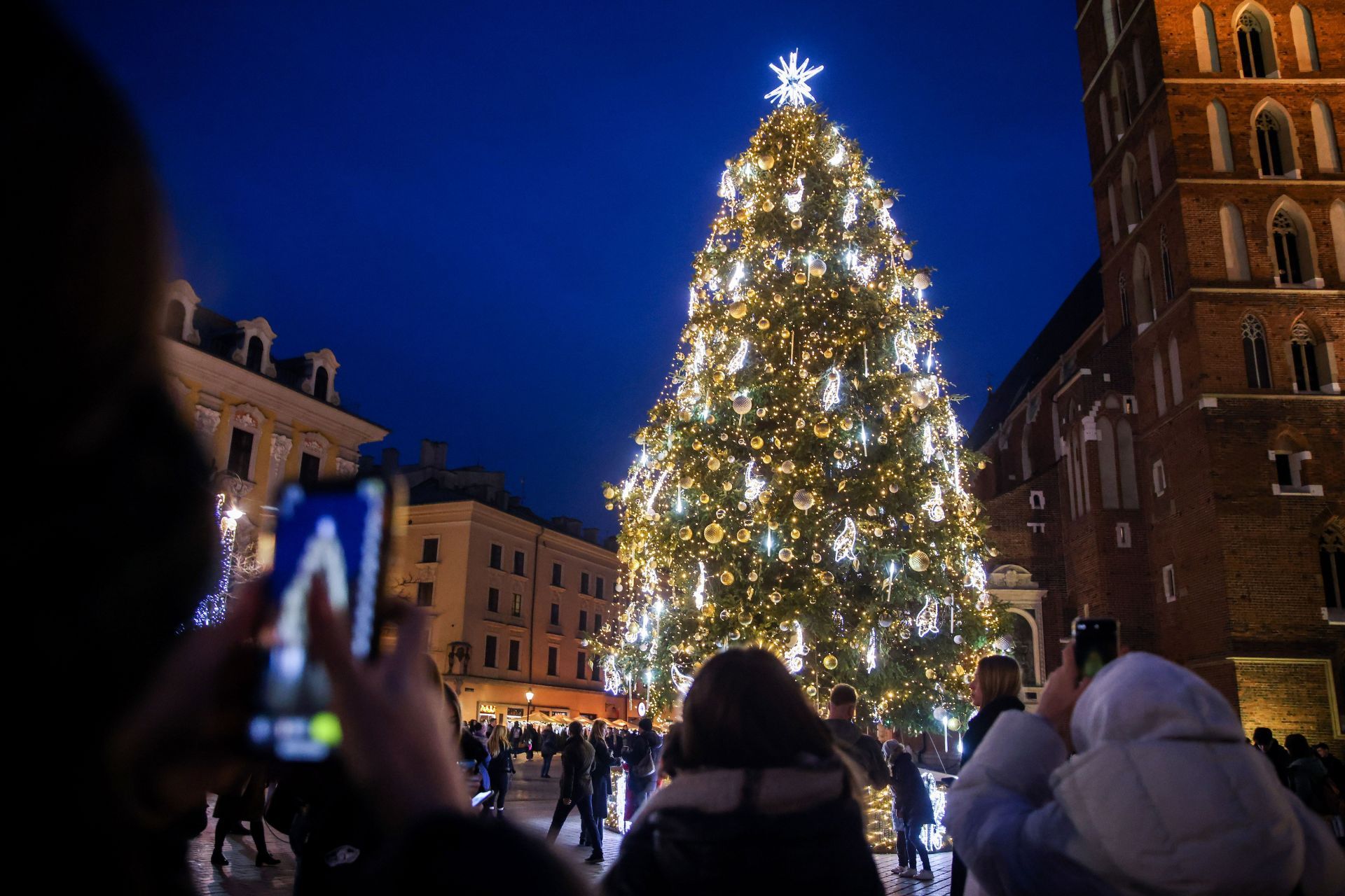 Christmas Tree In Krakow Named The World