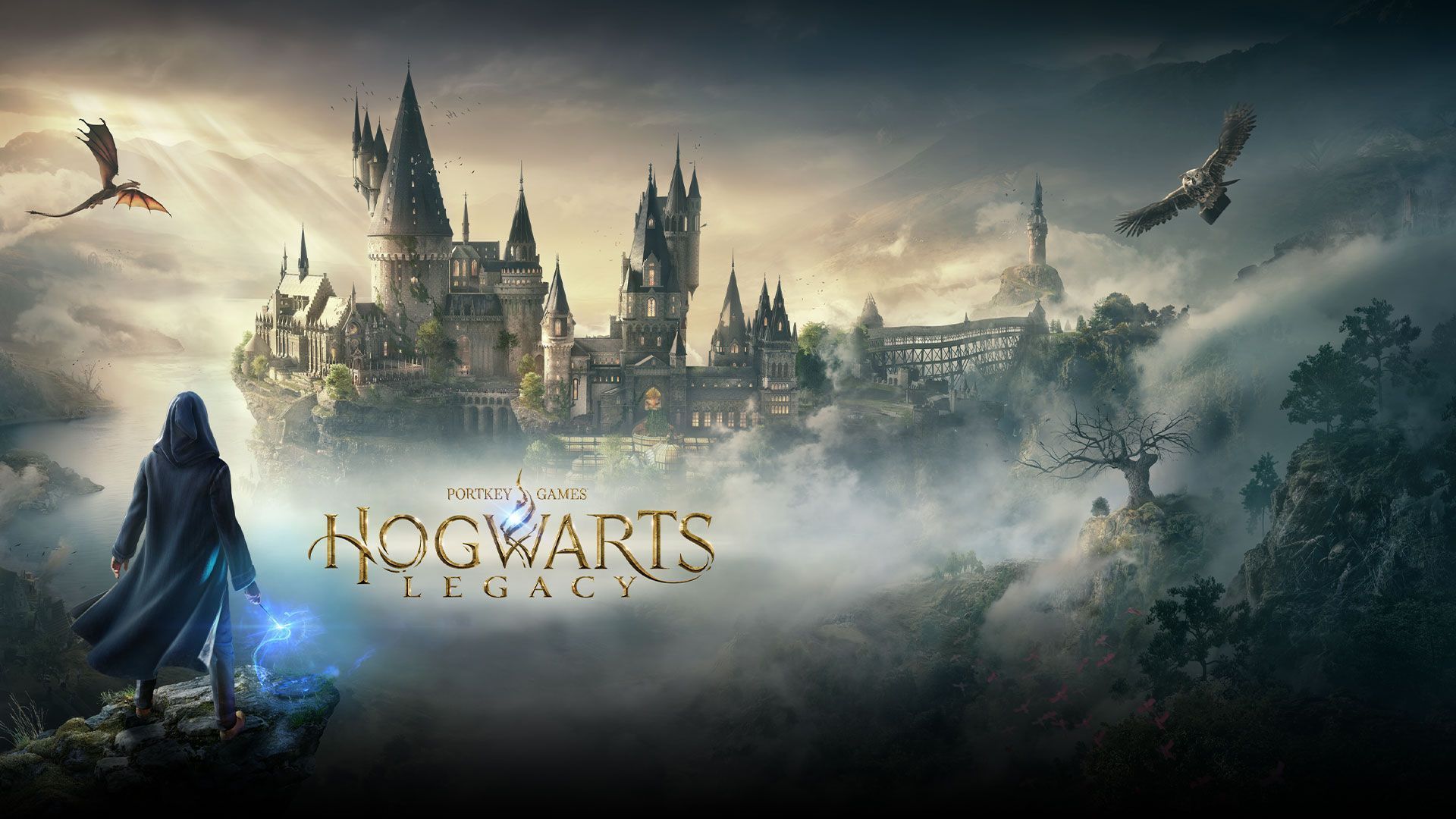 Hogwarts Legacy (Image via Steam)