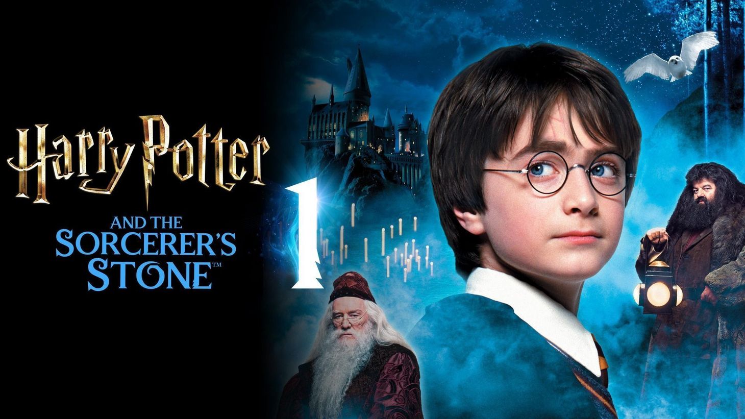Harry Potter And The Sorcerer's Stone Poster Harry Potter and the Sorcerer's Stone Cast