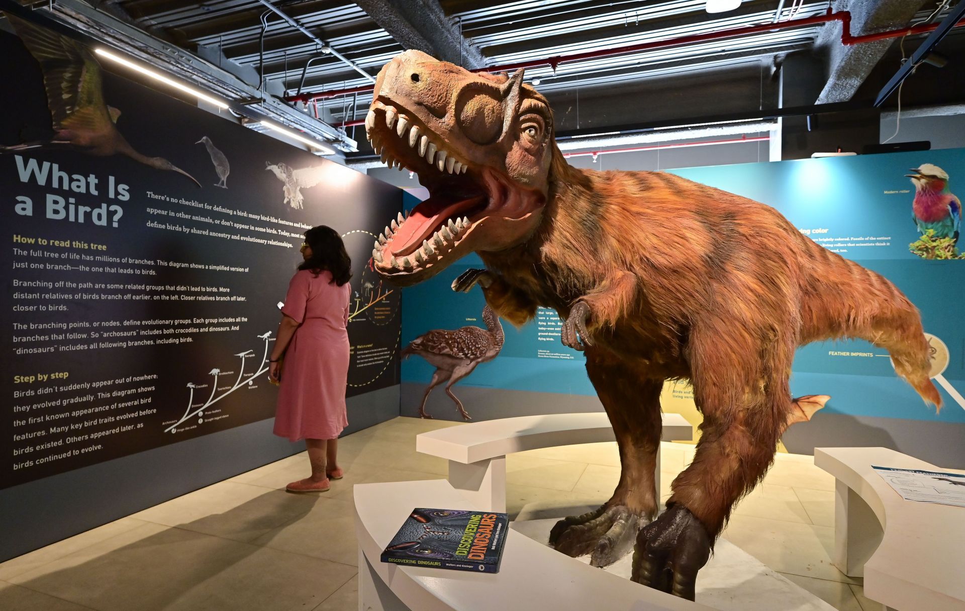 Dinosaurs Among Us Exhibition In Mumbai - Source: Getty