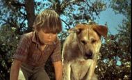 Old Yeller (1957) | Image Source: Walt Disney Pictures