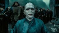 Ralph Fiennes as Lord Voldemort, Harry Potter and the Deathly Hallows Part 1 cast