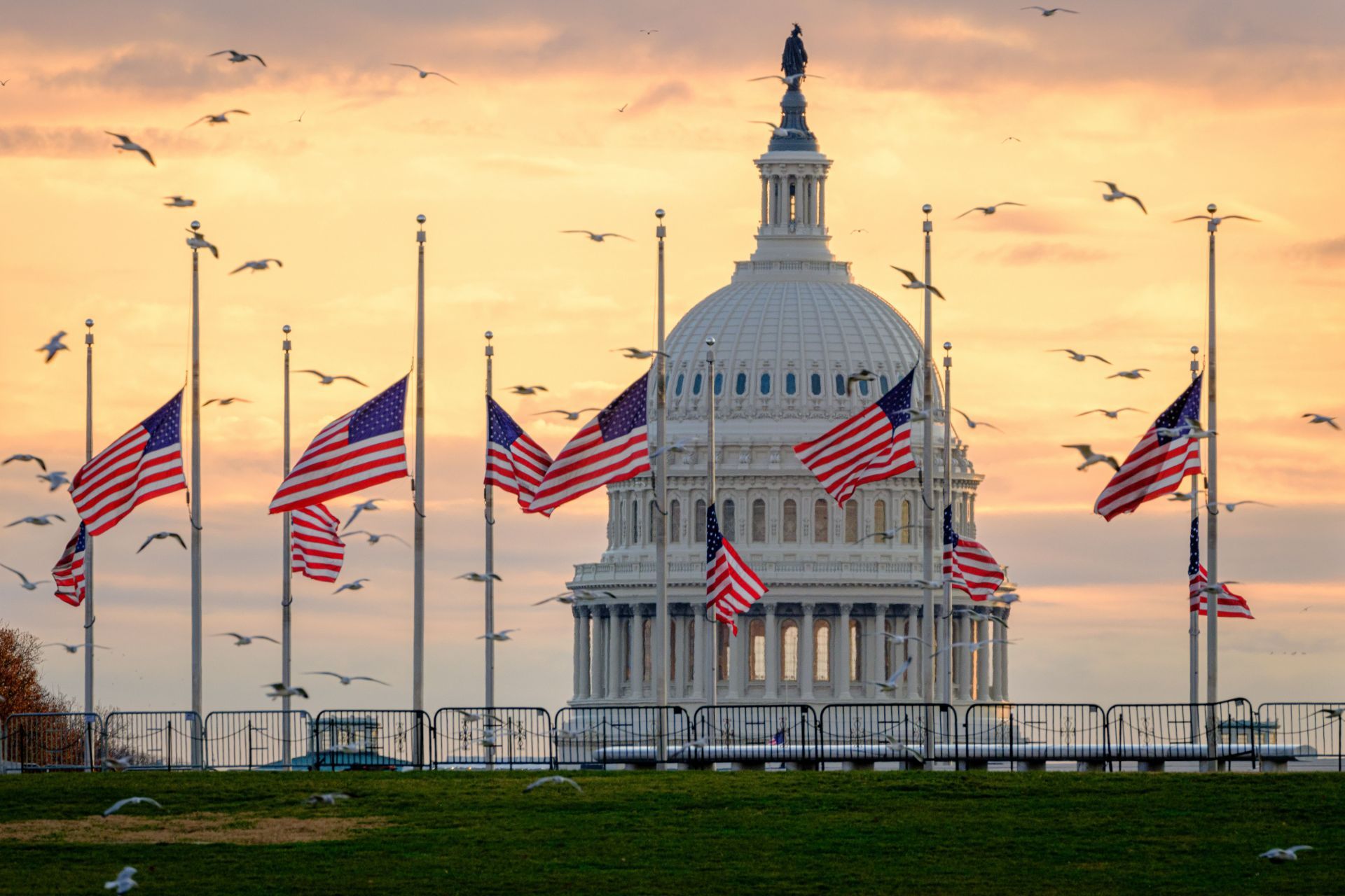 The US flags have been displayed at Half Staff to mourn the passing of President Jimmy Carter (Image via J. David Ake/Getty Images)