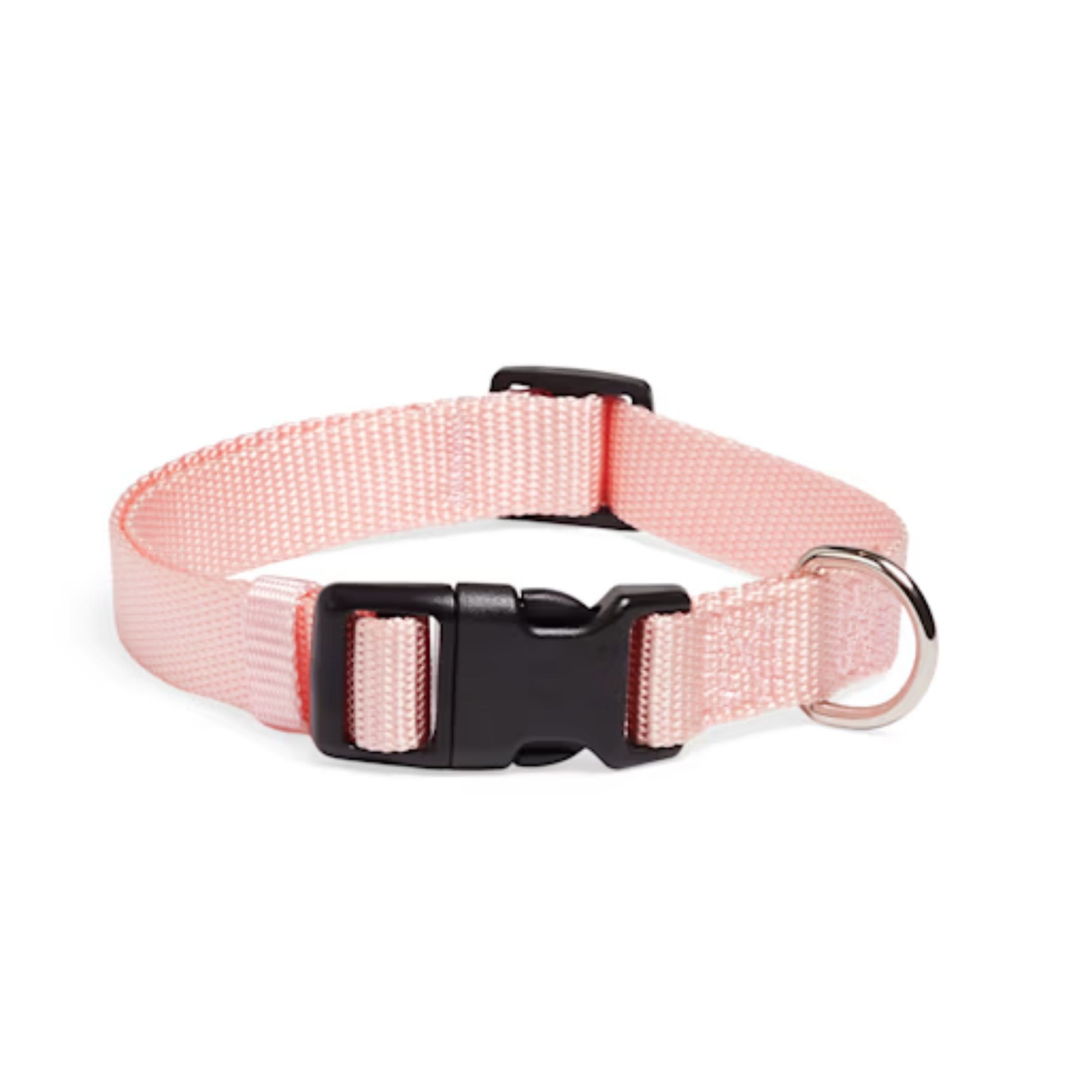 Dog Collar (Image via Petco)